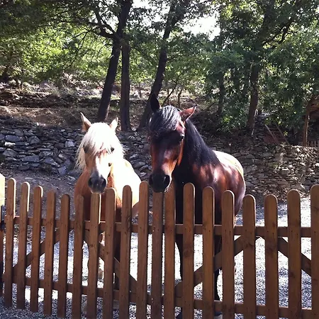 Gli Angeli Agriturismo *