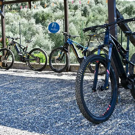 בית חווה Gli Angeli Agriturismo Cisano sul Neva